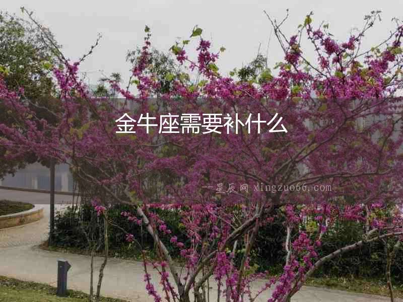 金牛座需要補(bǔ)什么