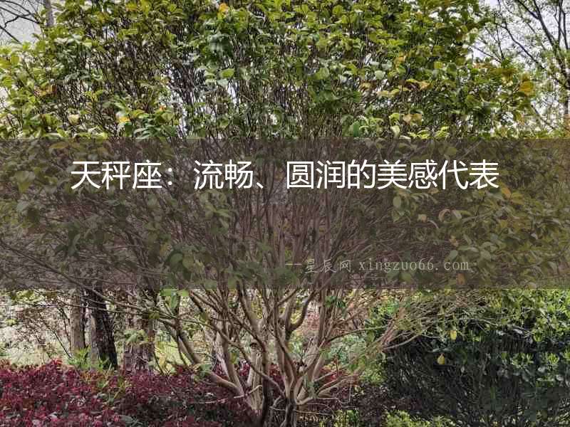 天秤座：流暢、圓潤的美感代表