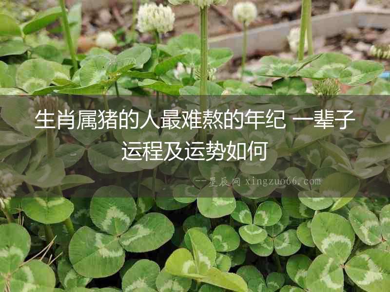 生肖屬豬的人最難熬的年紀(jì) 一輩子運(yùn)程及運(yùn)勢(shì)如何