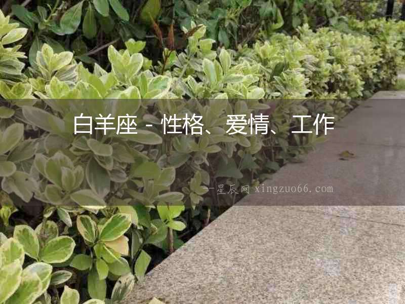 白羊座 - 性格、愛情、工作