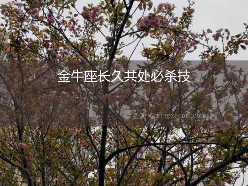 金牛座長(zhǎng)久共處必殺技