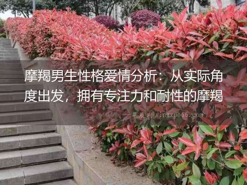 摩羯男生性格愛情分析：從實際角度出發(fā)，擁有專注力和耐性的摩羯男生是理想的戀愛對象