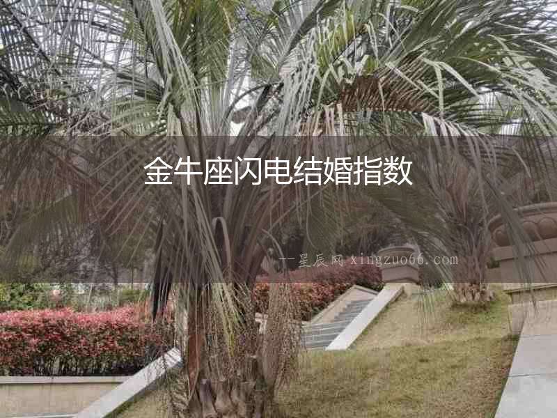 金牛座閃電結婚指數