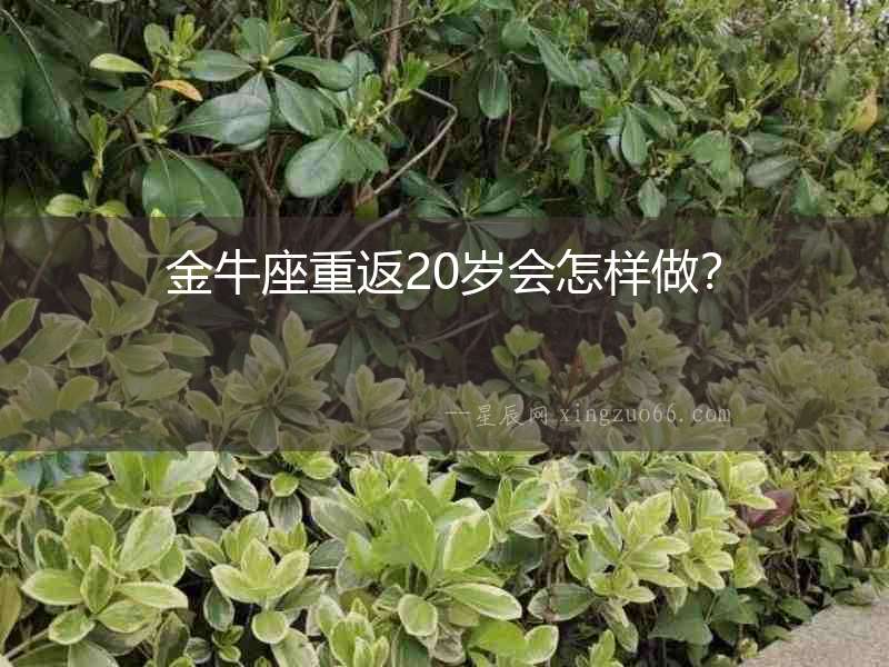 金牛座重返20歲會怎樣做？