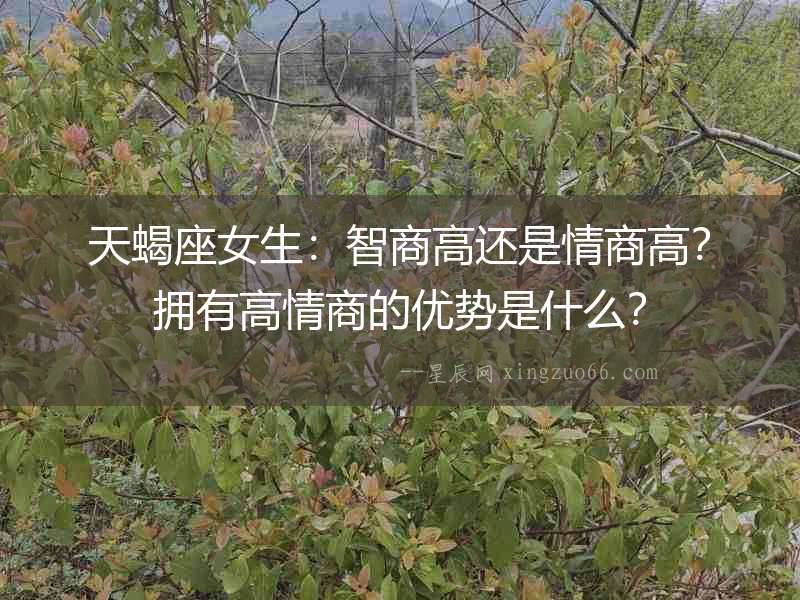 天蝎座女生：智商高還是情商高？擁有高情商的優(yōu)勢(shì)是什么？