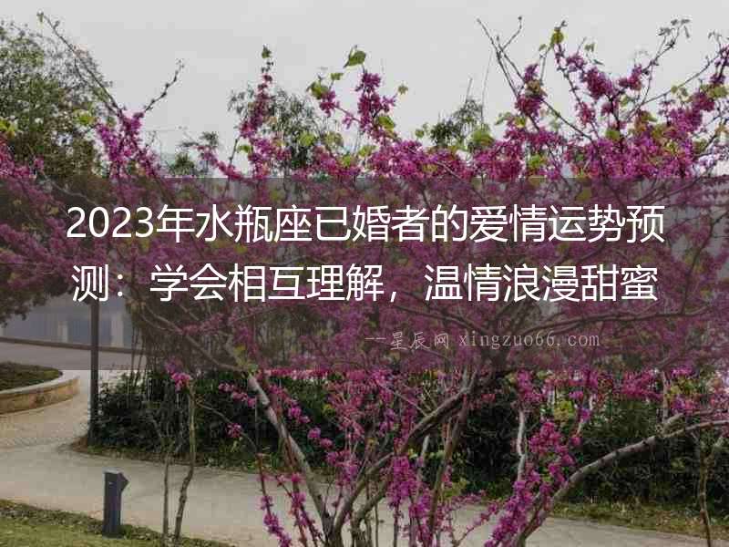 2023年水瓶座已婚者的愛情運勢預(yù)測：學會相互理解，溫情浪漫甜蜜連連
