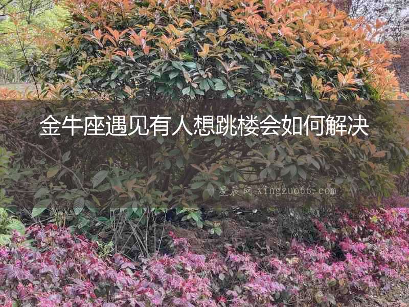 金牛座遇見有人想跳樓會如何解決