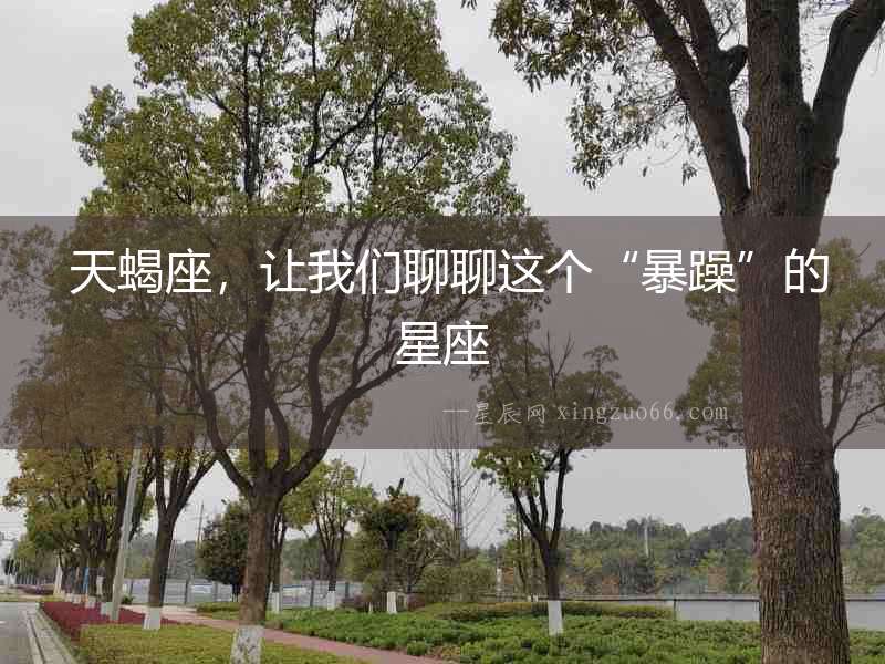  天蝎座，讓我們聊聊這個“暴躁”的星座