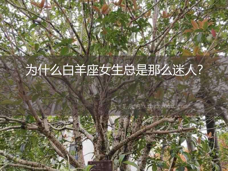 為什么白羊座女生總是那么迷人？