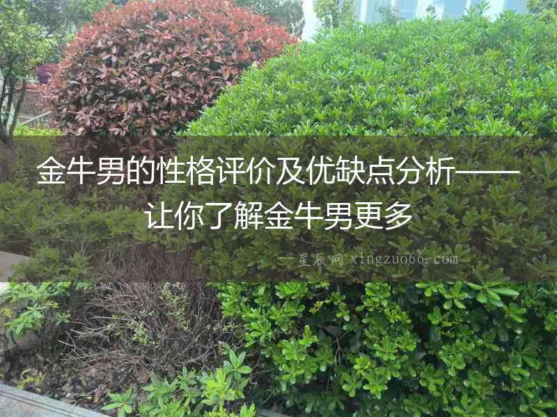 金牛男的性格評(píng)價(jià)及優(yōu)缺點(diǎn)分析——讓你了解金牛男更多