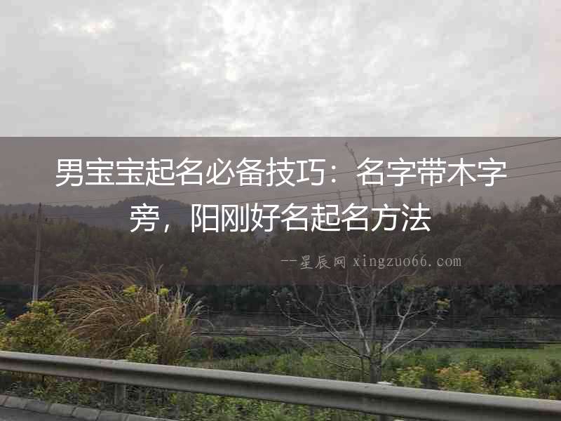 男寶寶起名必備技巧：名字帶木字旁，陽(yáng)剛好名起名方法