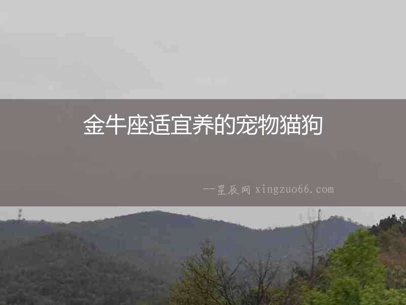 金牛座適宜養的寵物貓狗
