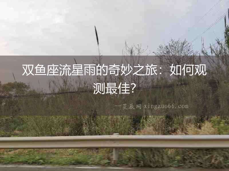 雙魚座流星雨的奇妙之旅：如何觀測最佳？