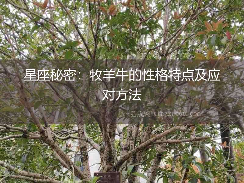 星座秘密：牧羊牛的性格特點(diǎn)及應(yīng)對(duì)方法