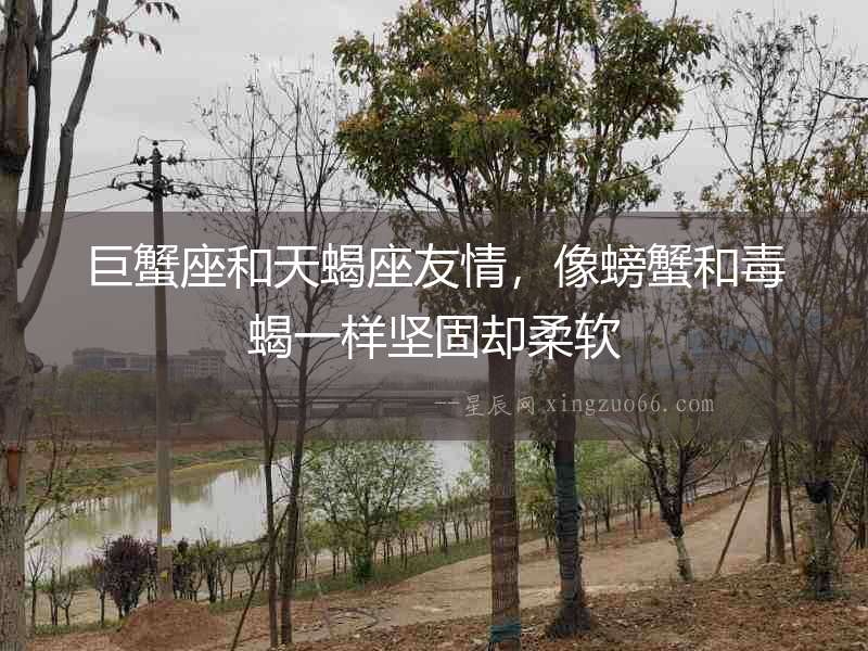 巨蟹座和天蝎座友情，像螃蟹和毒蝎一樣堅(jiān)固卻柔軟
