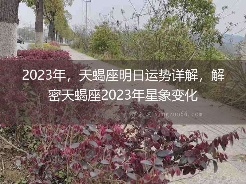 2023年，天蝎座明日運勢詳解，解密天蝎座2023年星象變化