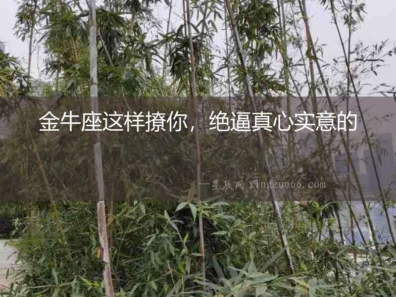 金牛座這樣撩你，絕逼真心實意的