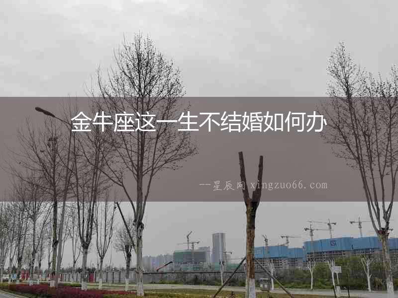 金牛座這一生不結(jié)婚如何辦