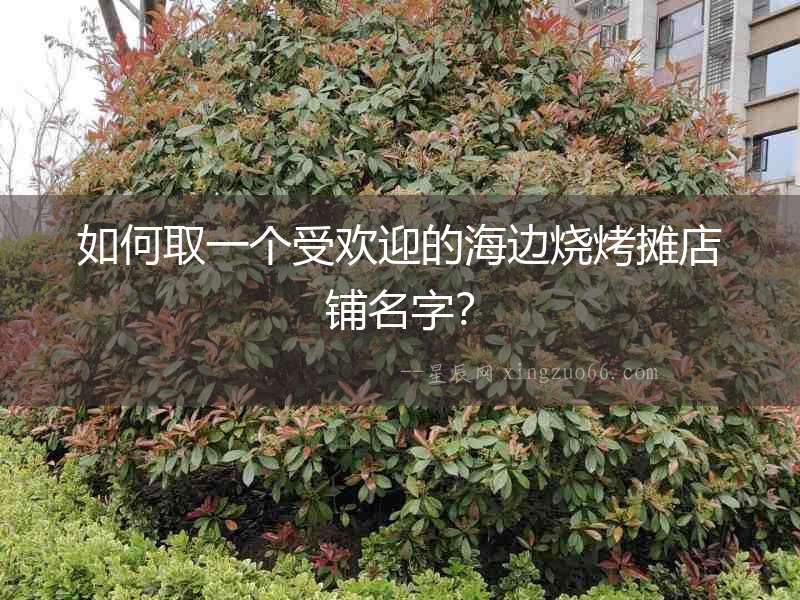 如何取一個受歡迎的海邊燒烤攤店鋪名字？