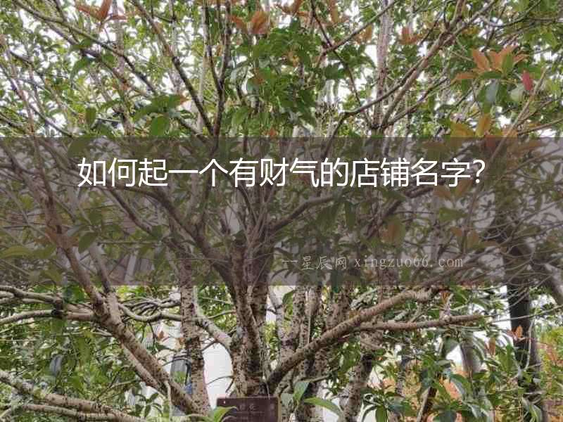 如何起一個(gè)有財(cái)氣的店鋪名字？