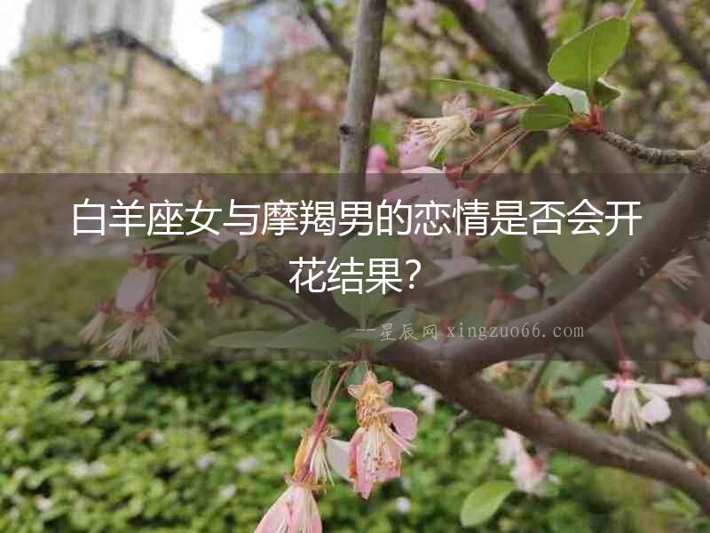 白羊座女與摩羯男的戀情是否會開花結果？