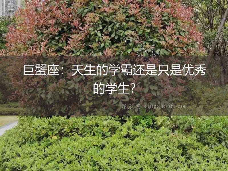 巨蟹座：天生的學霸還是只是優秀的學生？