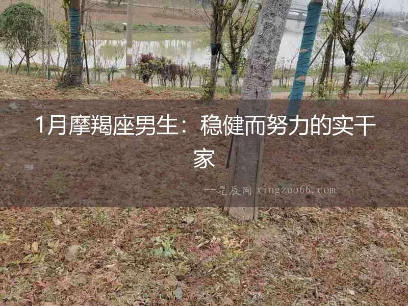 1月摩羯座男生：穩健而努力的實干家