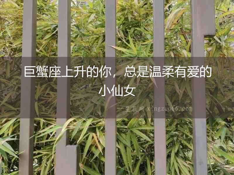 巨蟹座上升的你，總是溫柔有愛的小仙女