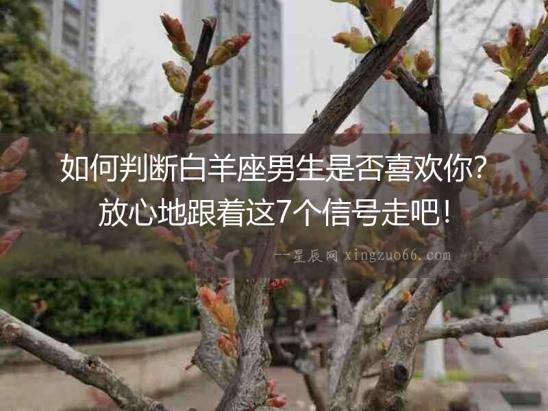 如何判斷白羊座男生是否喜歡你？放心地跟著這7個信號走吧！