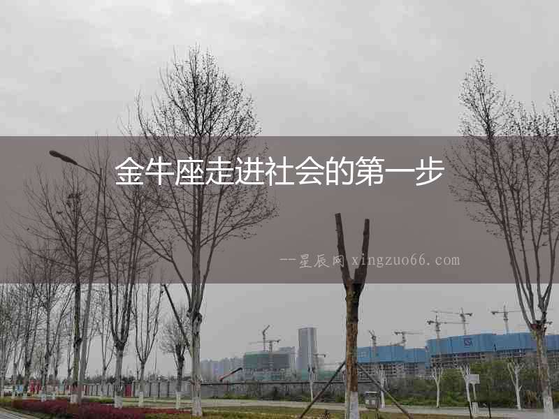 金牛座走進(jìn)社會(huì)的第一步