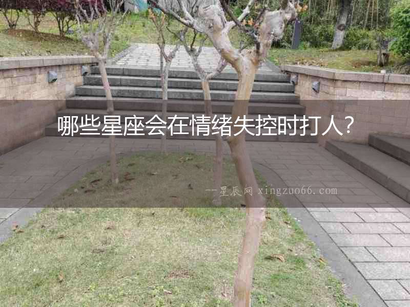 哪些星座會(huì)在情緒失控時(shí)打人？