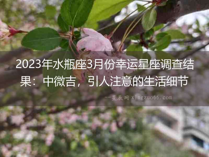2023年水瓶座3月份幸運(yùn)星座調(diào)查結(jié)果：中微吉，引人注意的生活細(xì)節(jié)！
