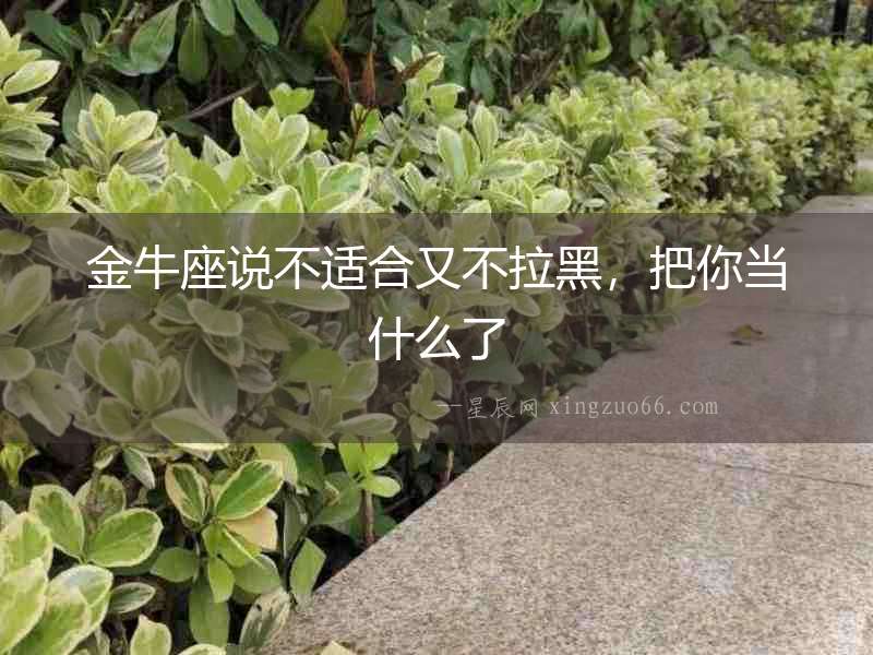 金牛座說不適合又不拉黑，把你當什么了