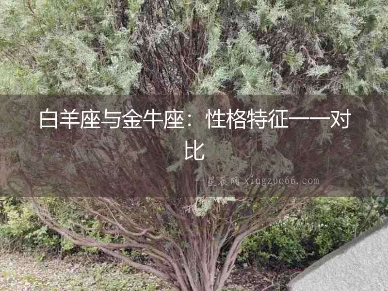 白羊座與金牛座：性格特征一一對比