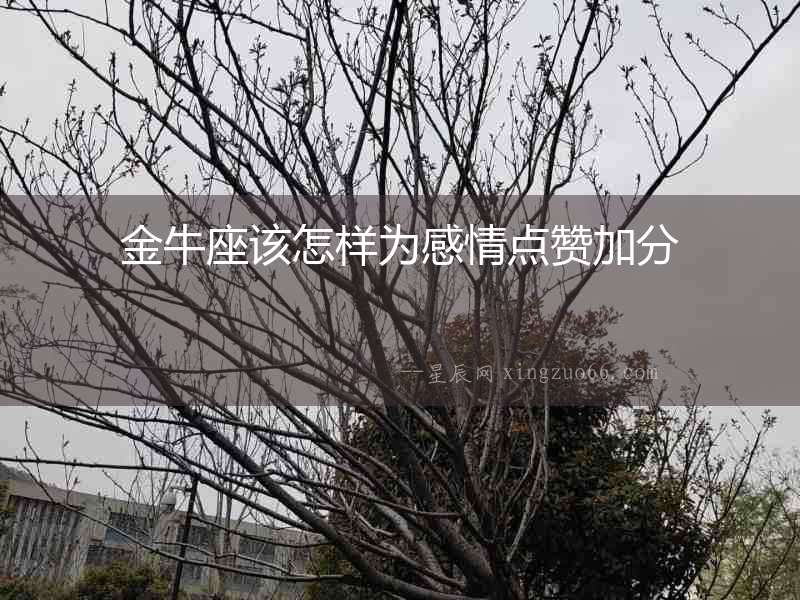 金牛座該怎樣為感情點贊加分