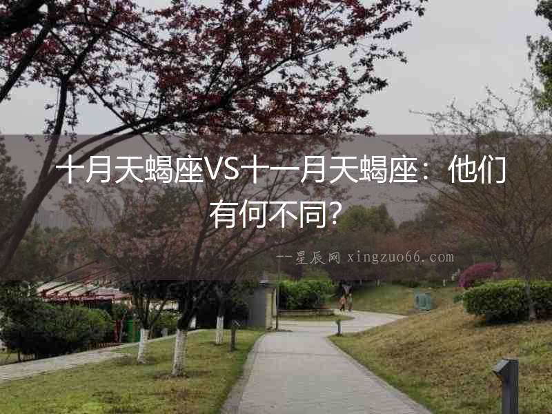  十月天蝎座VS十一月天蝎座：他們有何不同？