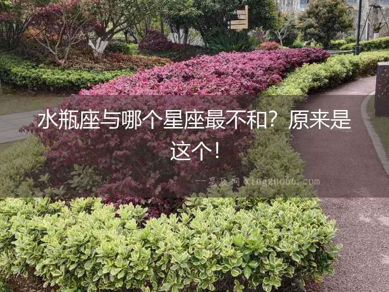 水瓶座與哪個(gè)星座最不和？原來是這個(gè)！