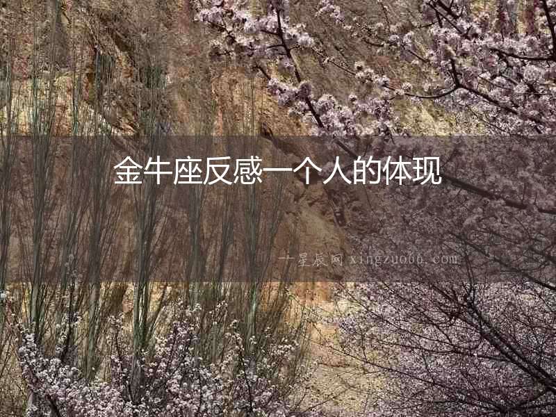 金牛座反感一個人的體現