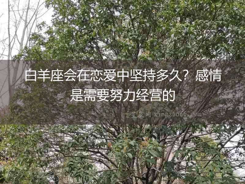 白羊座會在戀愛中堅持多久？感情是需要努力經(jīng)營的