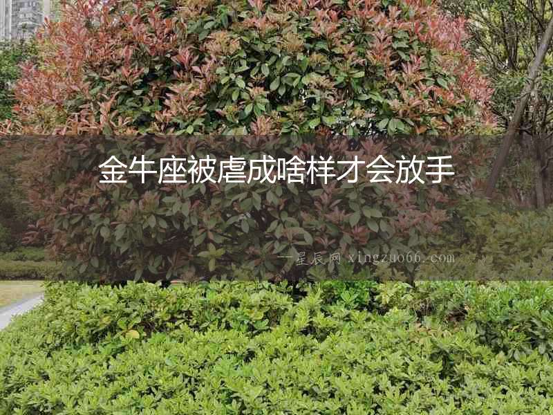 金牛座被虐成啥樣才會放手