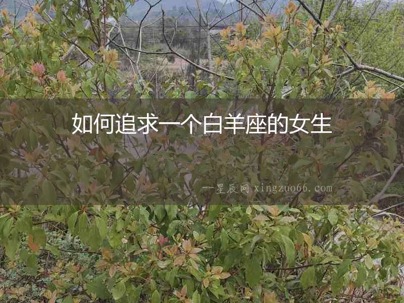 如何追求一個(gè)白羊座的女生