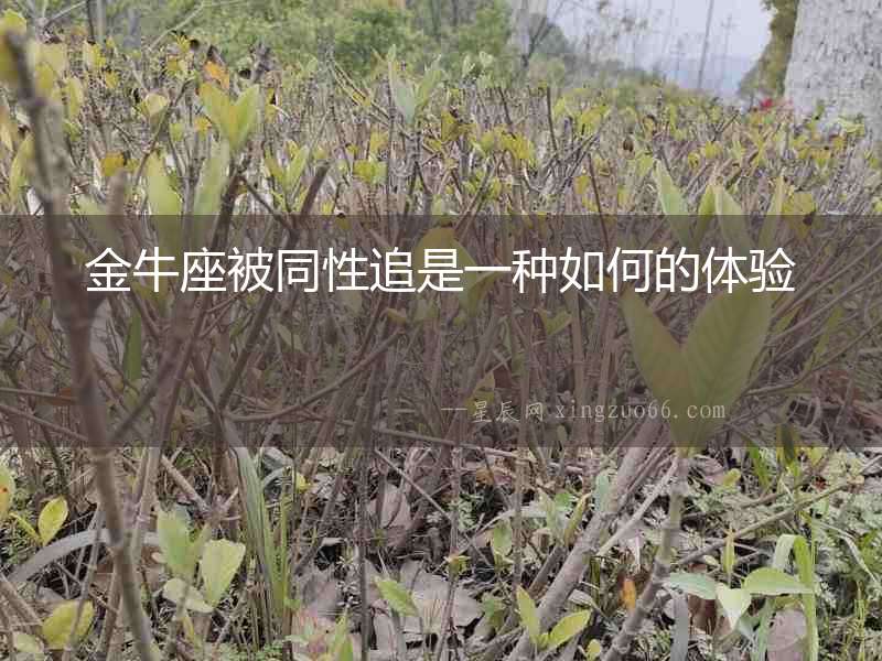 金牛座被同性追是一種如何的體驗(yàn)
