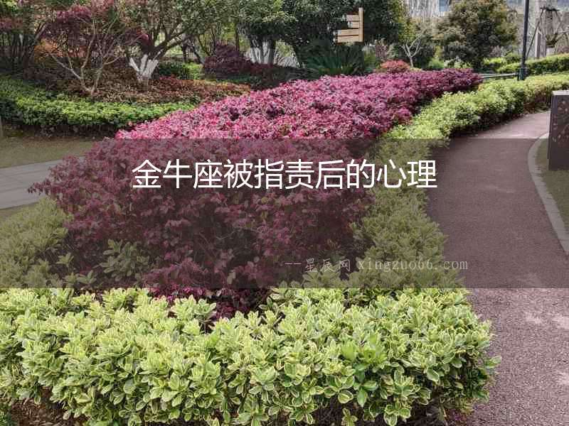 金牛座被指責后的心理