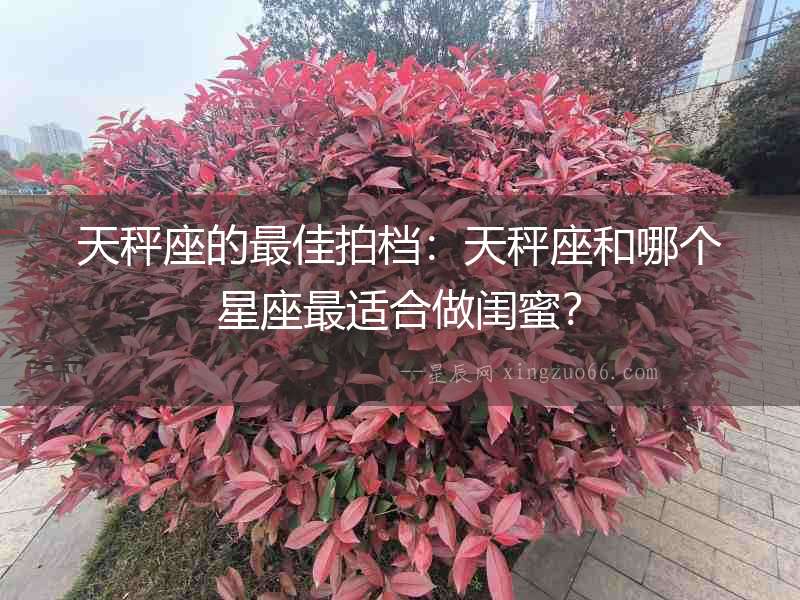 天秤座的最佳拍檔：天秤座和哪個(gè)星座最適合做閨蜜？