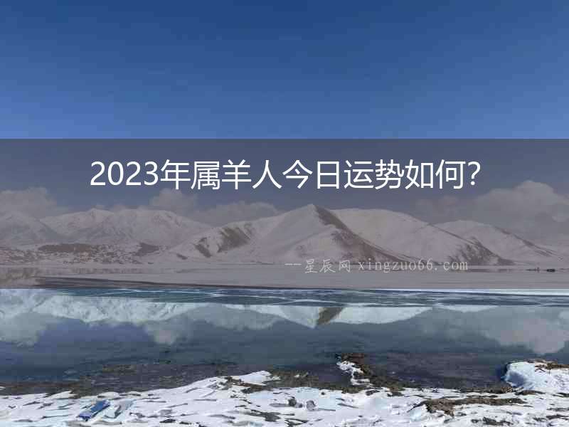 2023年屬羊人今日運勢如何？