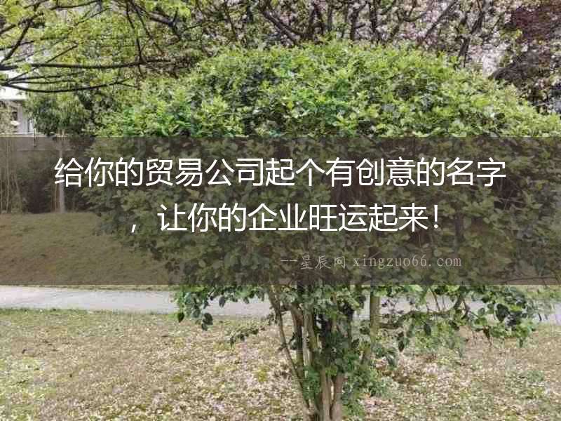 給你的貿易公司起個有創意的名字，讓你的企業旺運起來！