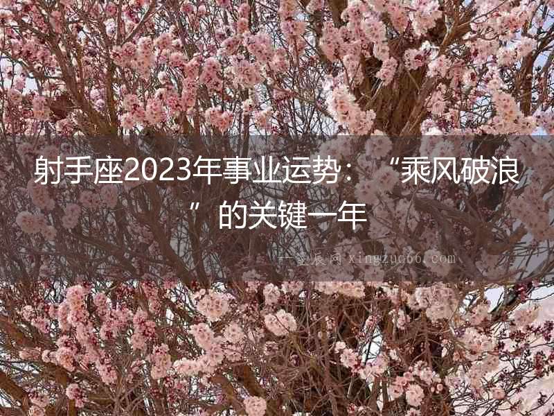 射手座2023年事業(yè)運(yùn)勢(shì)：“乘風(fēng)破浪”的關(guān)鍵一年
