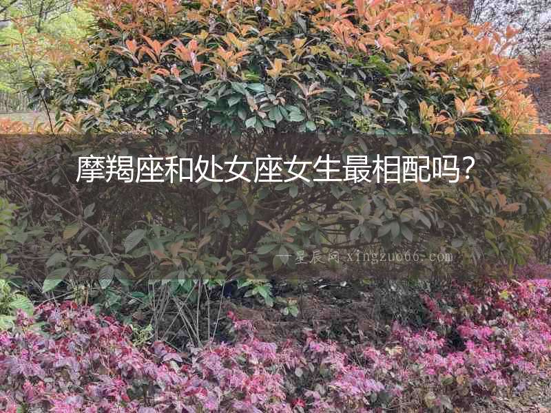 摩羯座和處女座女生最相配嗎？
