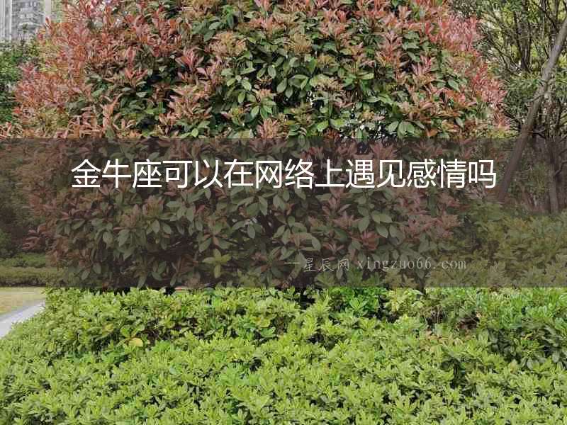金牛座可以在網絡上遇見感情嗎