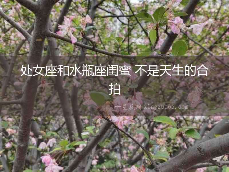 處女座和水瓶座閨蜜 不是天生的合拍